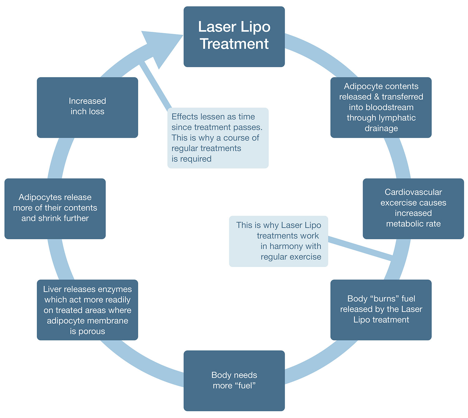 laser lipo flowchart
